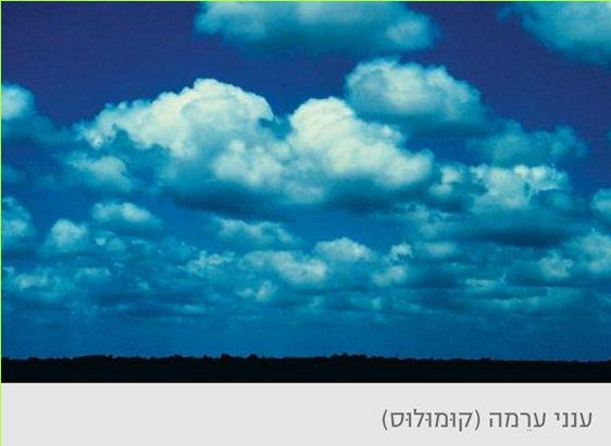 ענני ערימה (קומולוס)